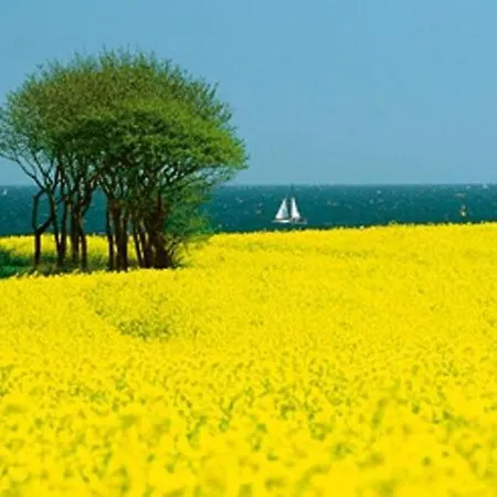 - Michaelas Huus - Zwischen Den Meeren, *